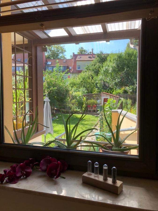 Ferienwohnung An Der Gruenen Clara Erfurt Exterior foto