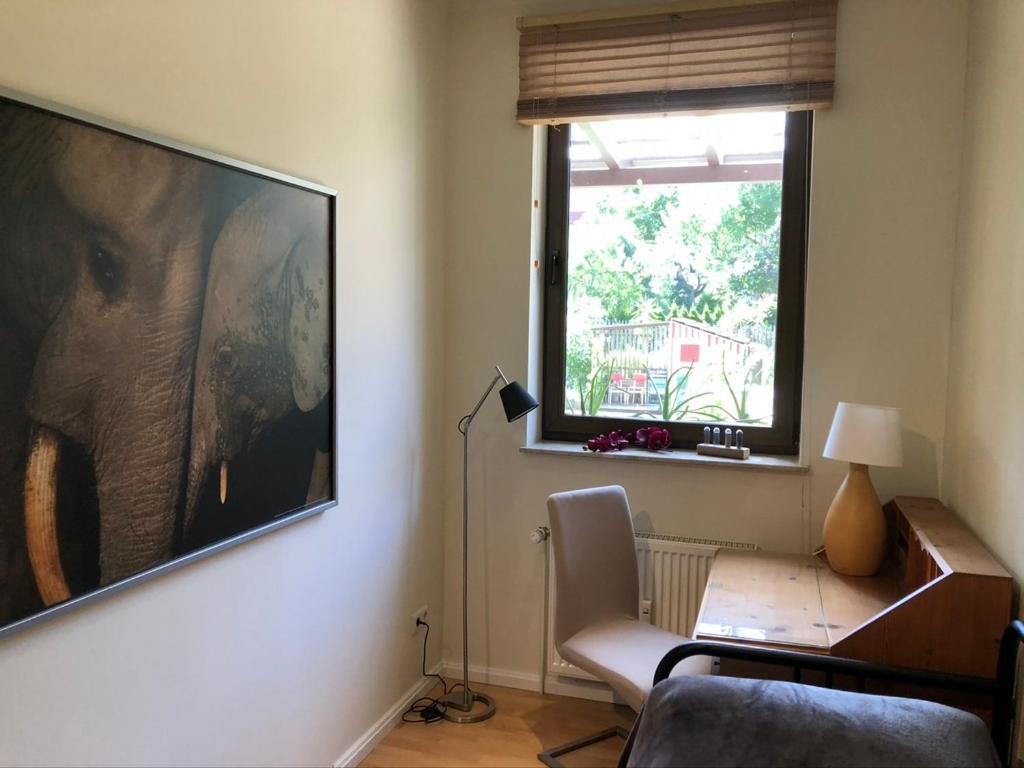 Ferienwohnung An Der Gruenen Clara Erfurt Exterior foto